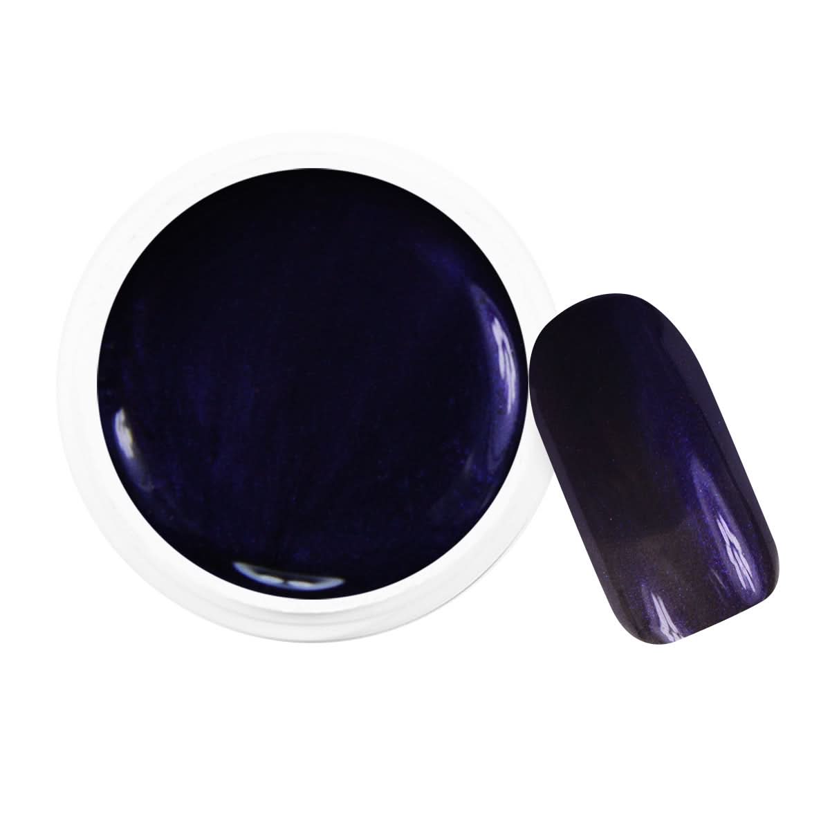 Gel Color Pro 5ml 2416 - Aubergine Métallisé