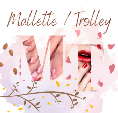 Mallette / Trolley