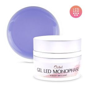 Gel LED Monophase Violet Brillant 50 g (Base Construction Finition)